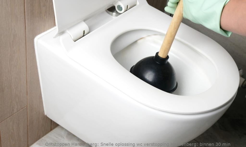 Snelle oplossing wc verstopping Hardenberg: binnen 30 min